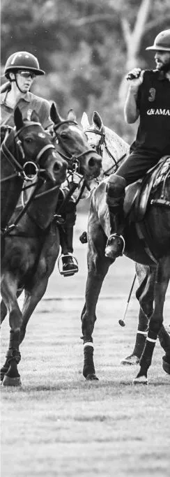 International Chovken Federation